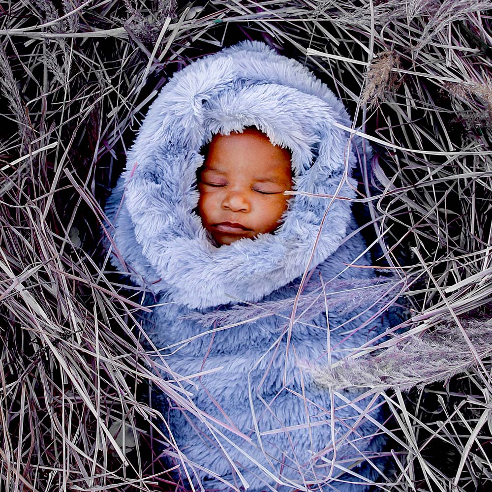 Baby Zano nest Photoshoot