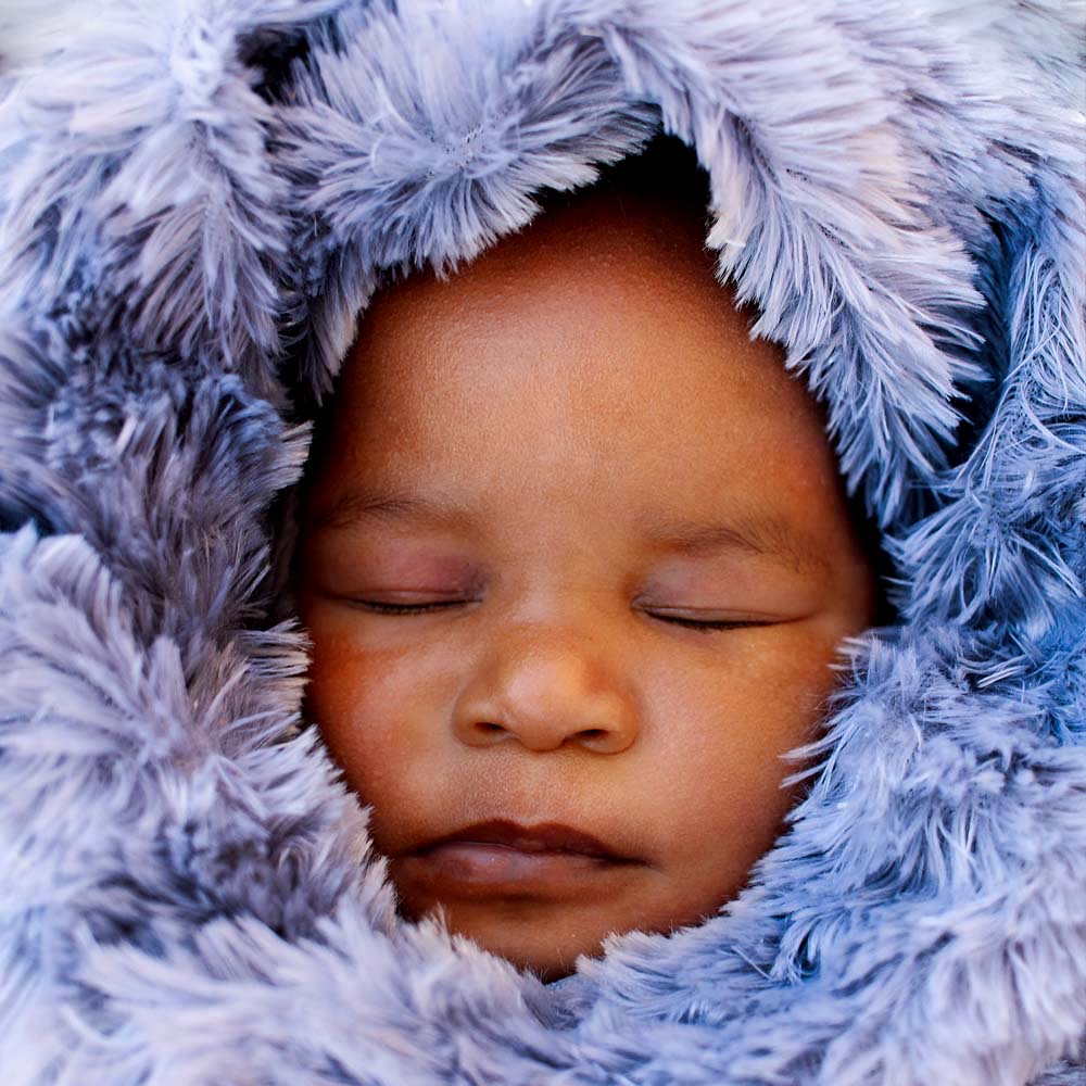 Baby Zano nest Photoshoot